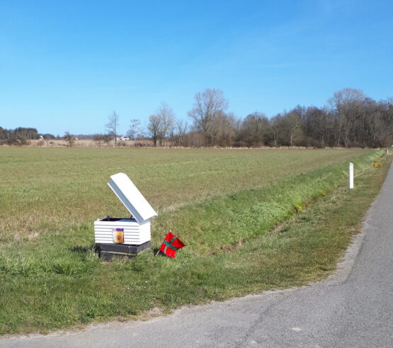 Salgsstade scaled e1753430090154